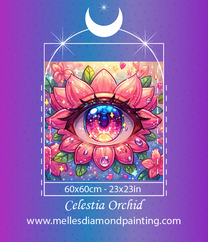 Celestia Orchid