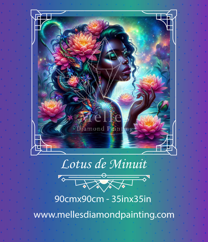 Lotus de Minuit